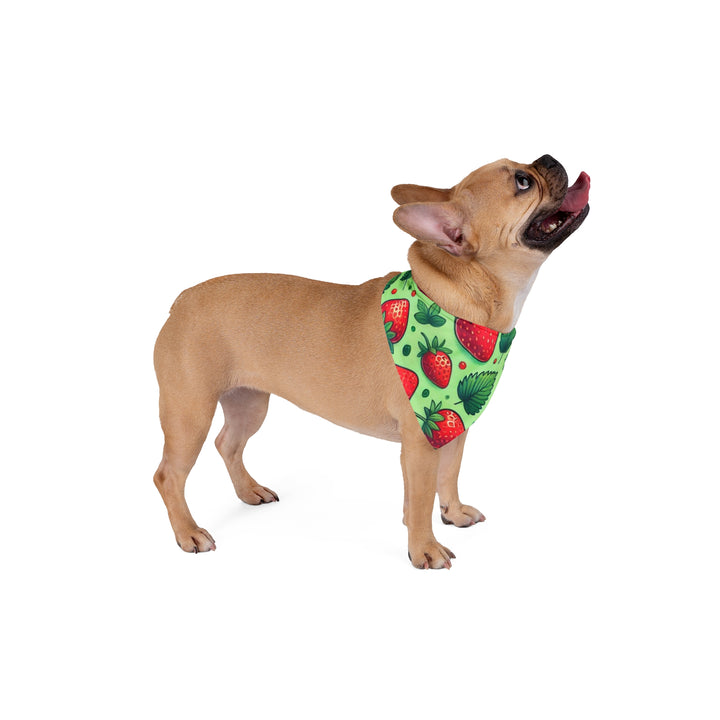 Strawberries Pet Bandana