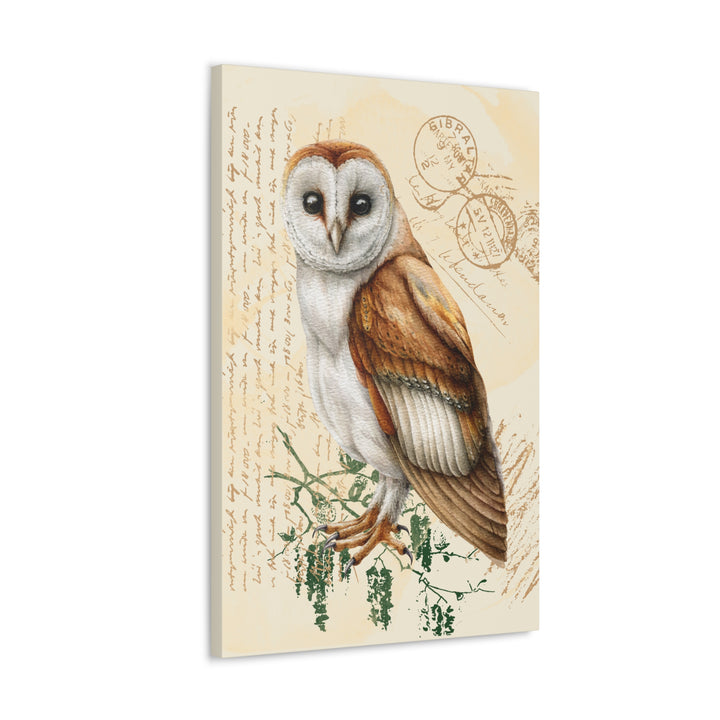 Wise Owl Canvas Gallery Wraps