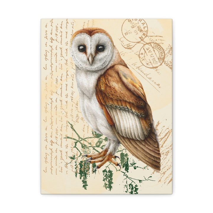 Wise Owl Canvas Gallery Wraps