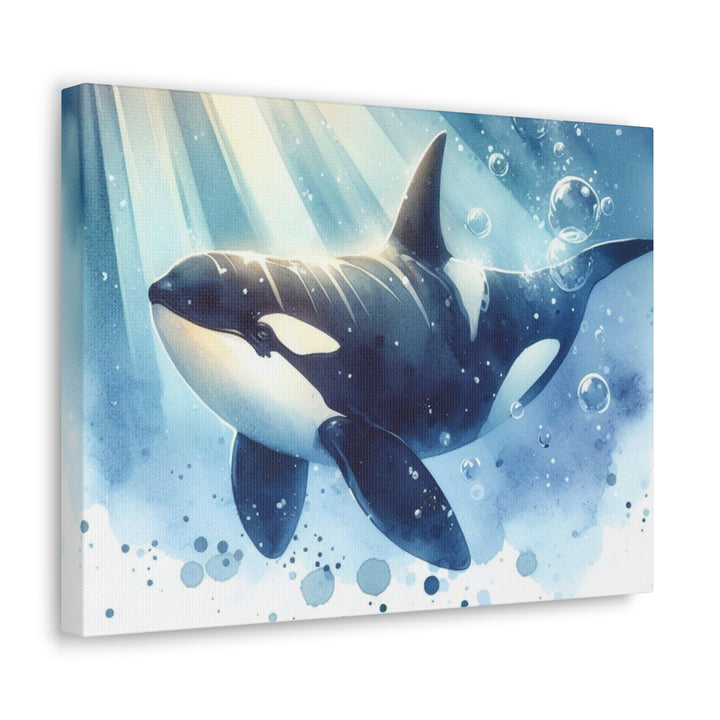 Orca Canvas Gallery Wraps