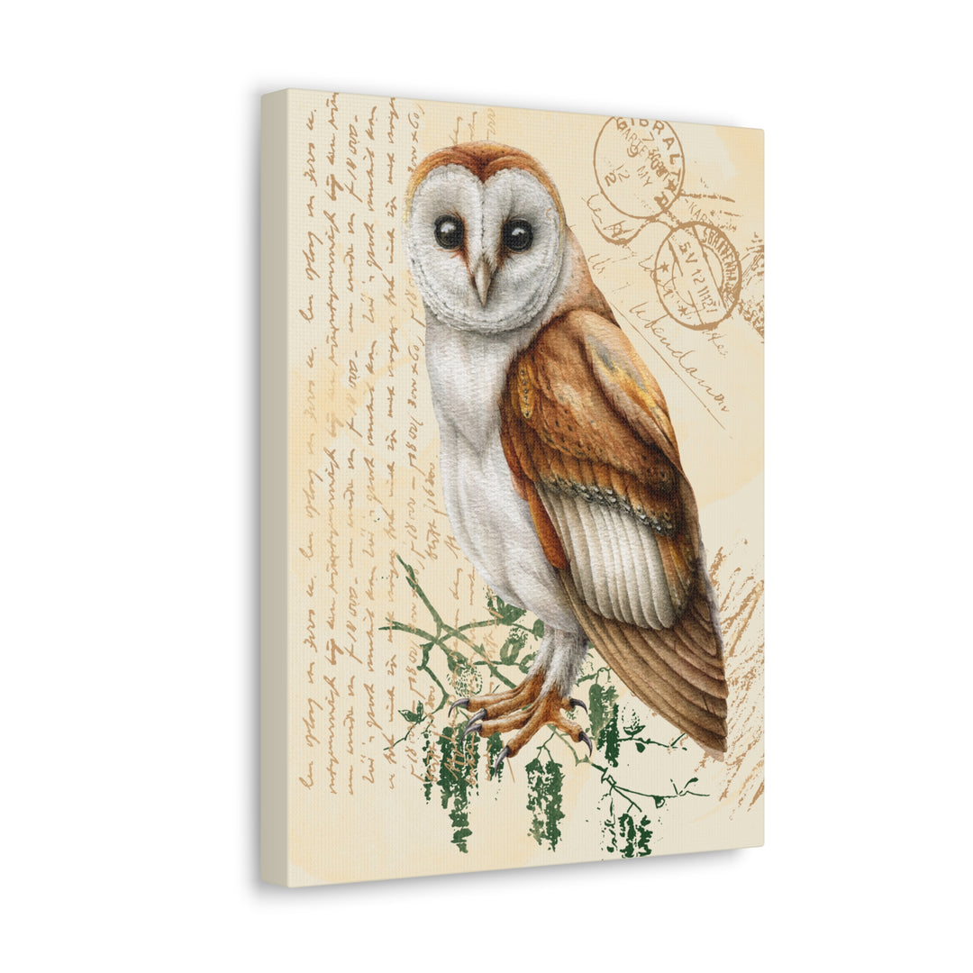 Wise Owl Canvas Gallery Wraps