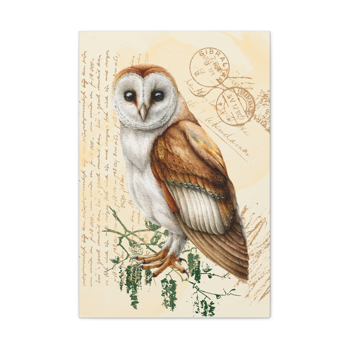 Wise Owl Canvas Gallery Wraps