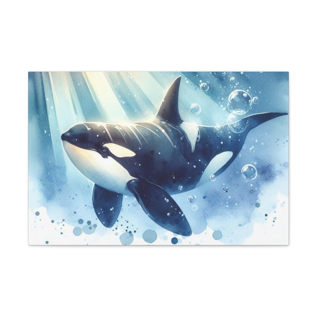 Orca Canvas Gallery Wraps