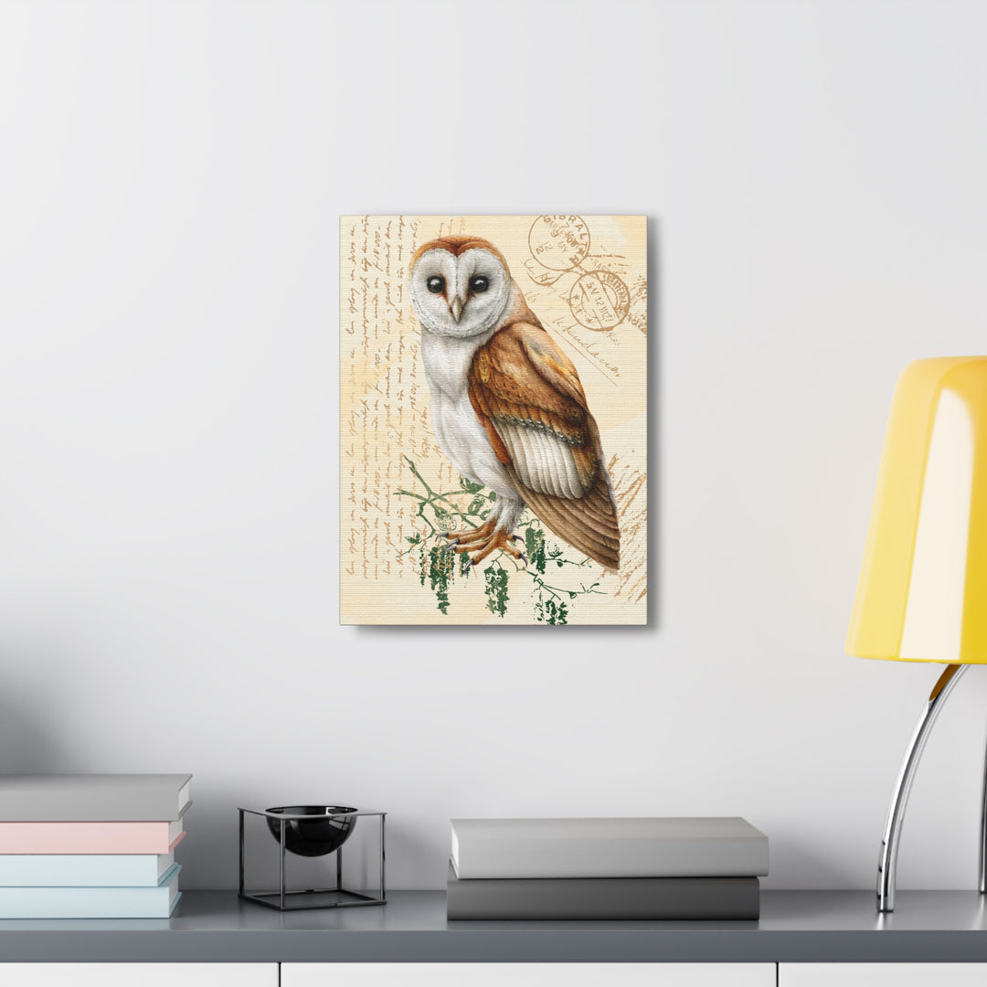 Wise Owl Canvas Gallery Wraps